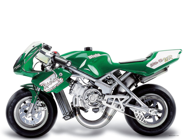 Blata Elite 13 WRS Mini Series